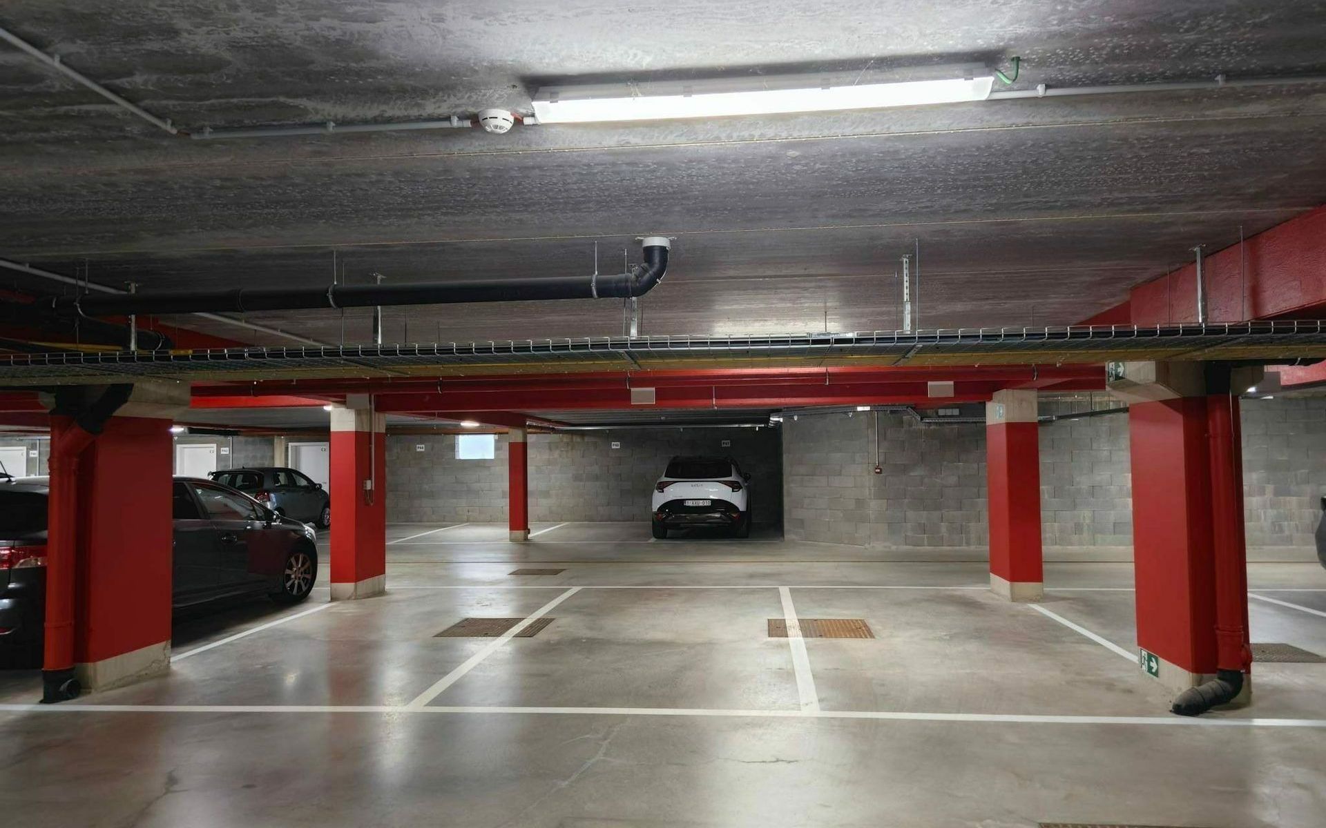 Shared image 1
