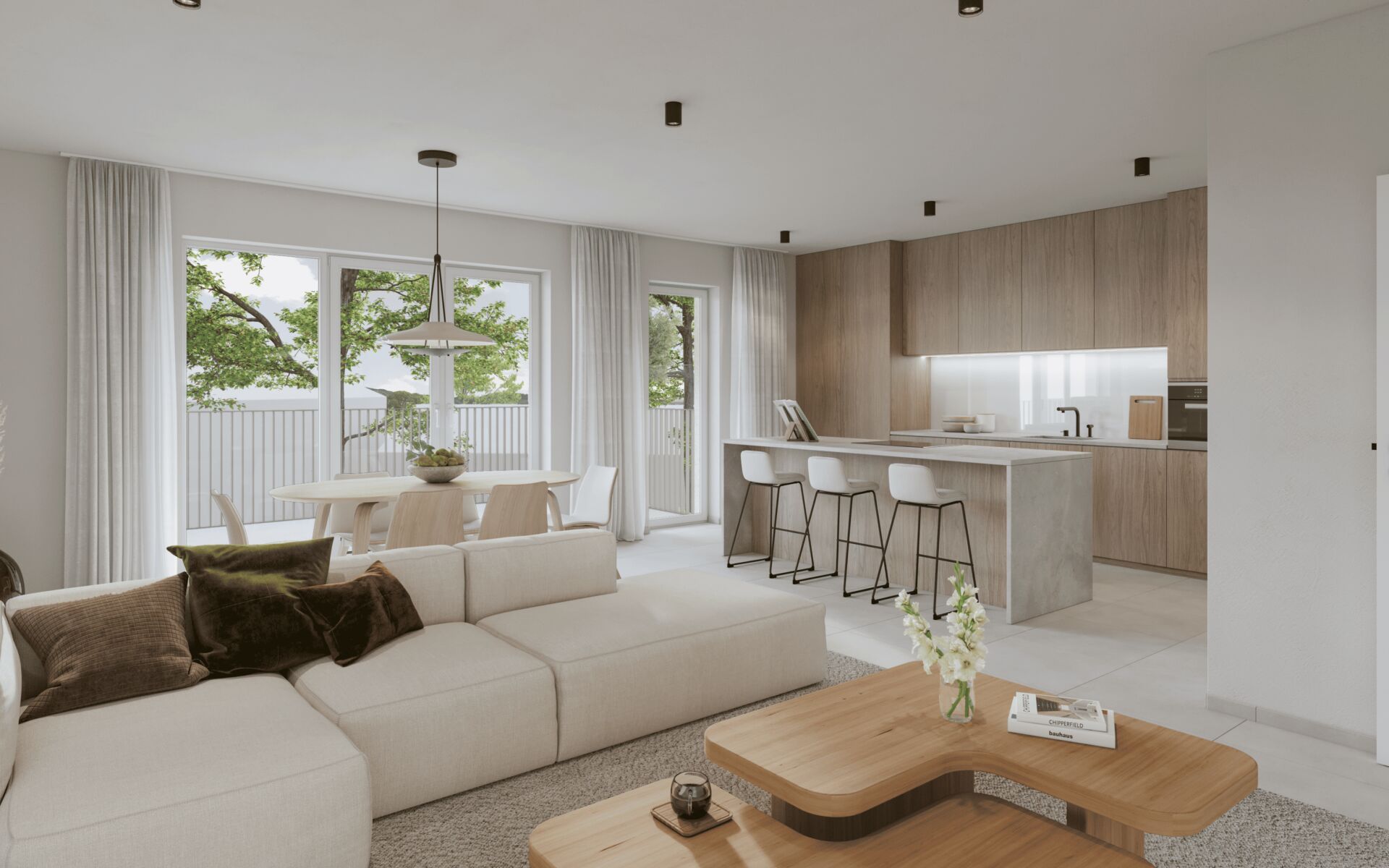AND Vue intérieur appartement 1 C séjour VD
