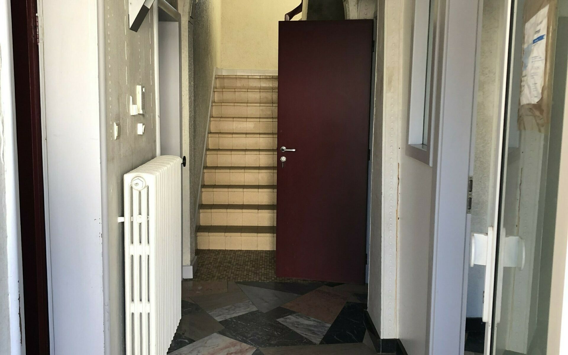 IMG 1764