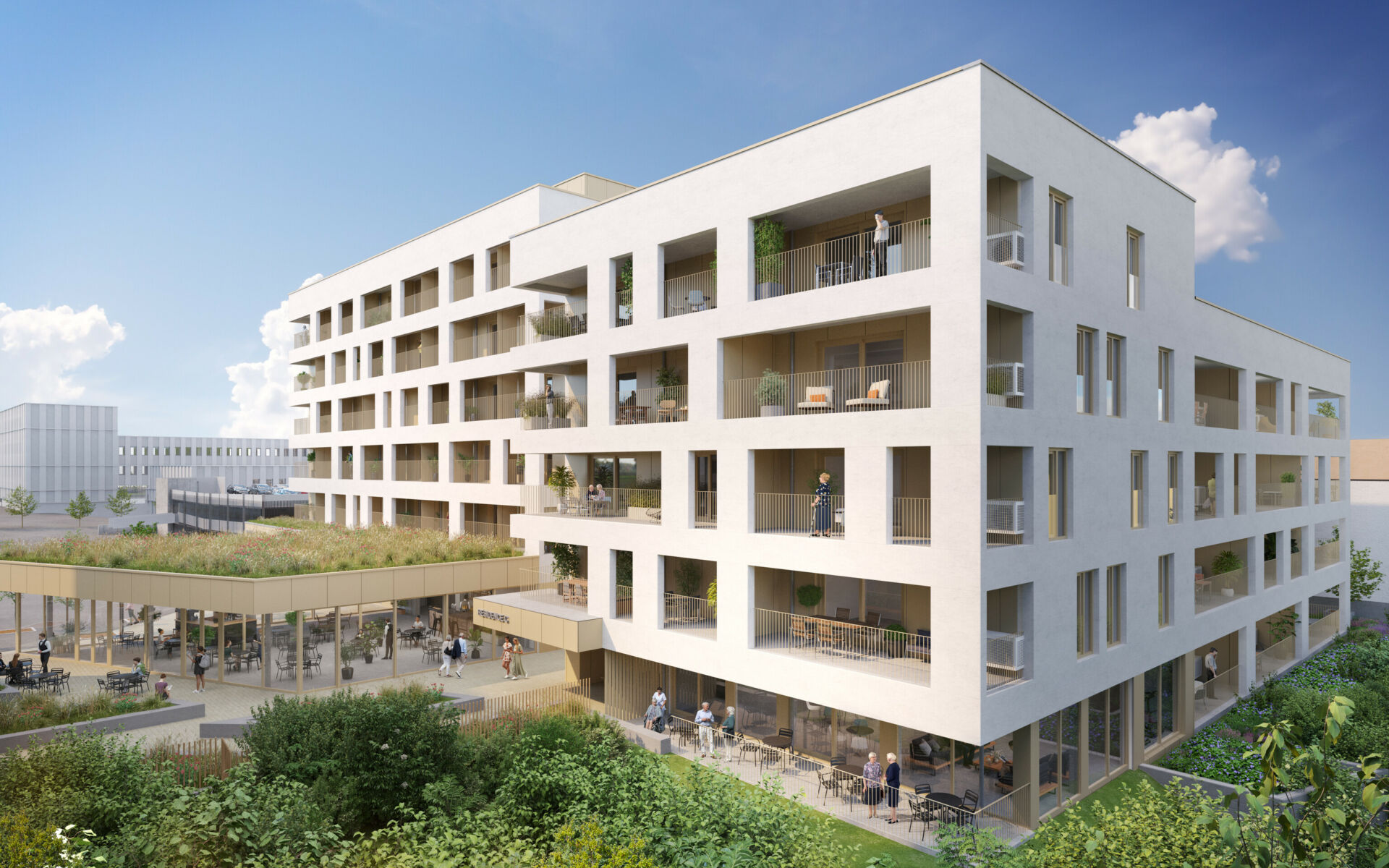 3D - résidence-service - vue depuis la Tiny Forest